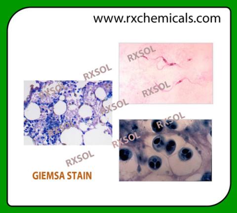 GIEMSA STAIN