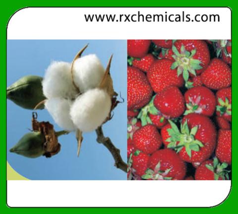 AGRISOL B 11