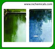 Algaecide Clarifier