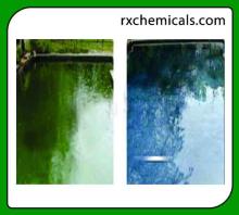 All In One Algaecide