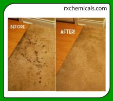 Carpet Cleaner Bio