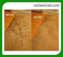 Carpet Cleaner Bio