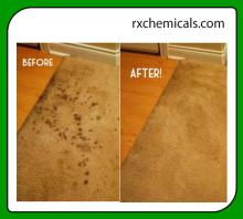Carpet Cleaner