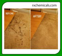 Carpet Shampoo