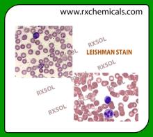 LEISHMAN STAIN