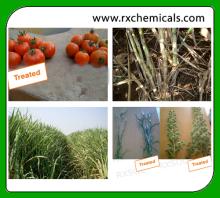 AGRISOL B 15