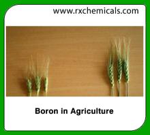 Boron